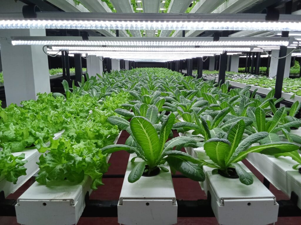 alvares-green-farms-image